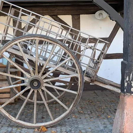 Les Perles Du Ried - Gite 6 - Proche Europapark Strasbourg Colmar شقة Boofzheim